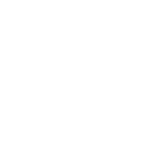 لوگو دانانیک